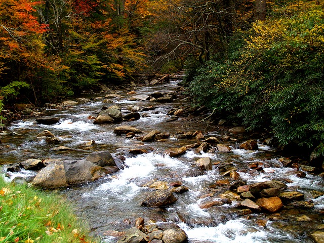 stones in flowing river brook